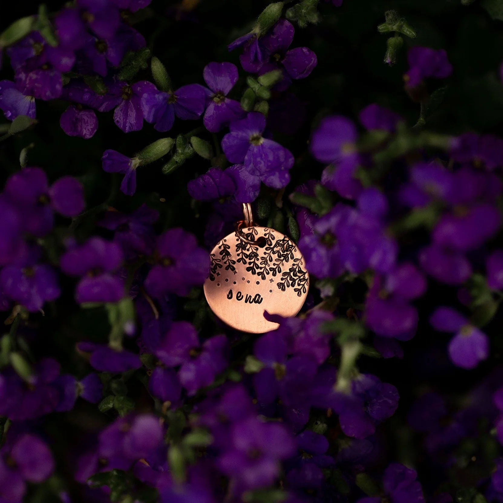 Adresówka dla psa BLOOM - Image 7