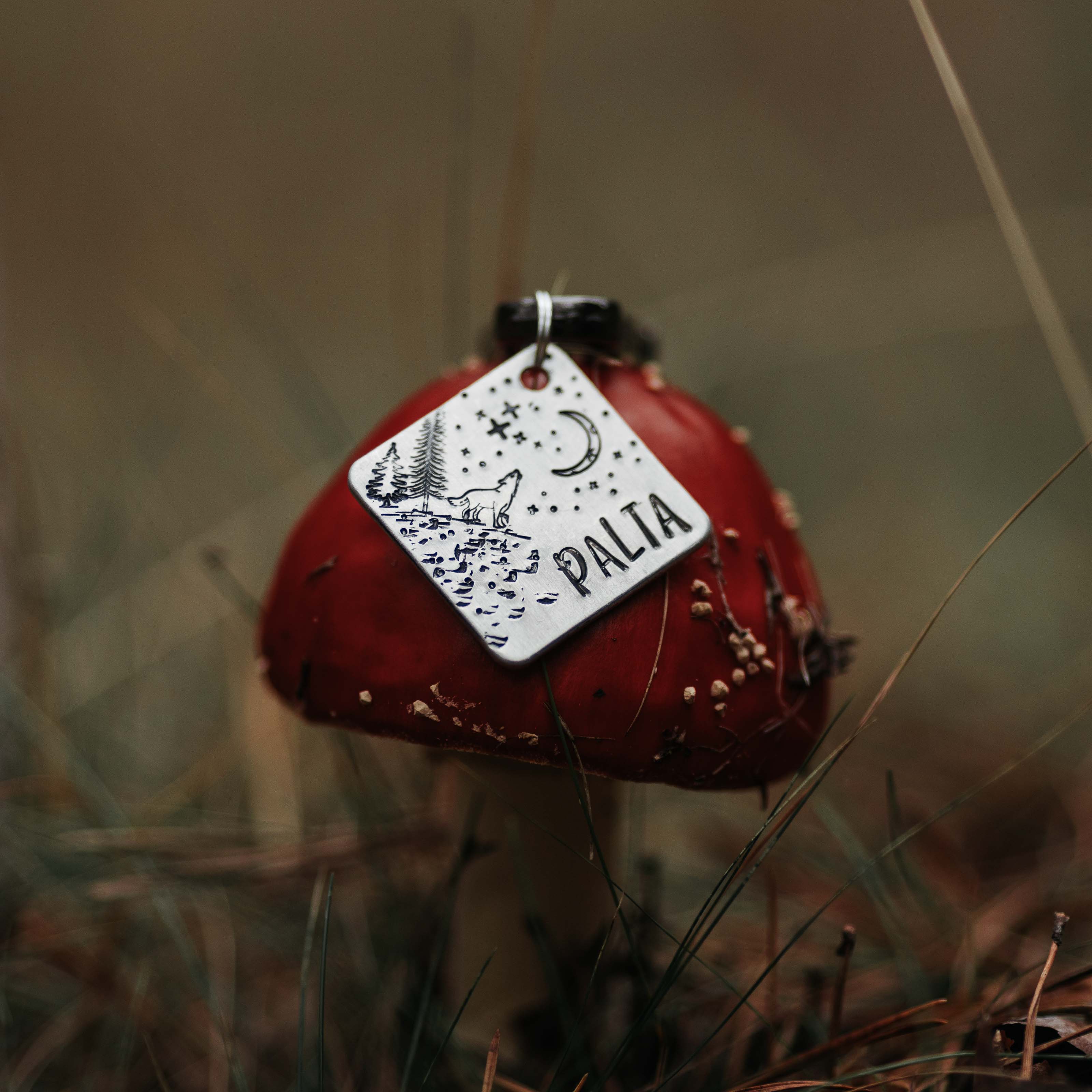 Adresówka dla psa EMBER WOLF - Image 2