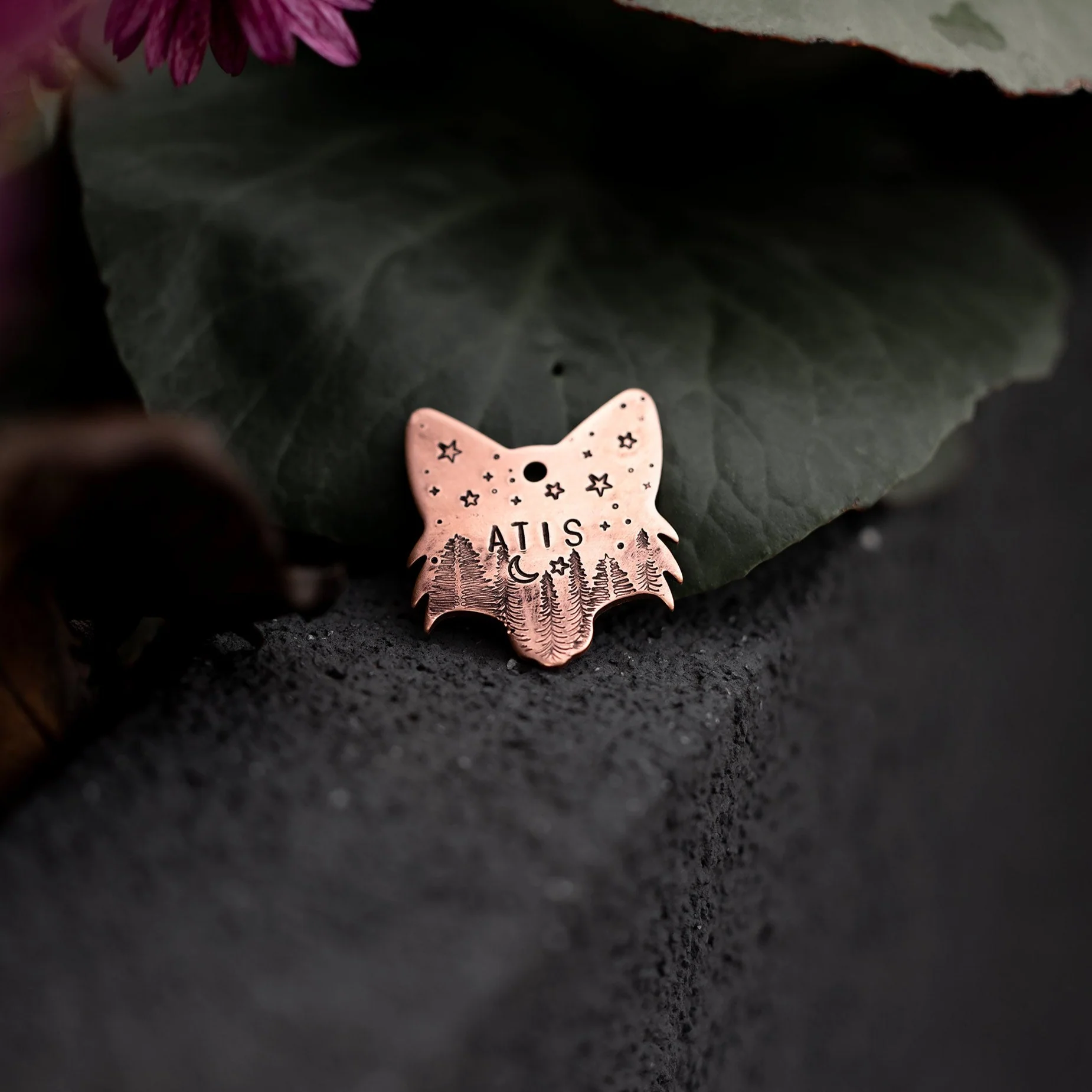 Adresówka dla psa FOXY CHARM - Image 7