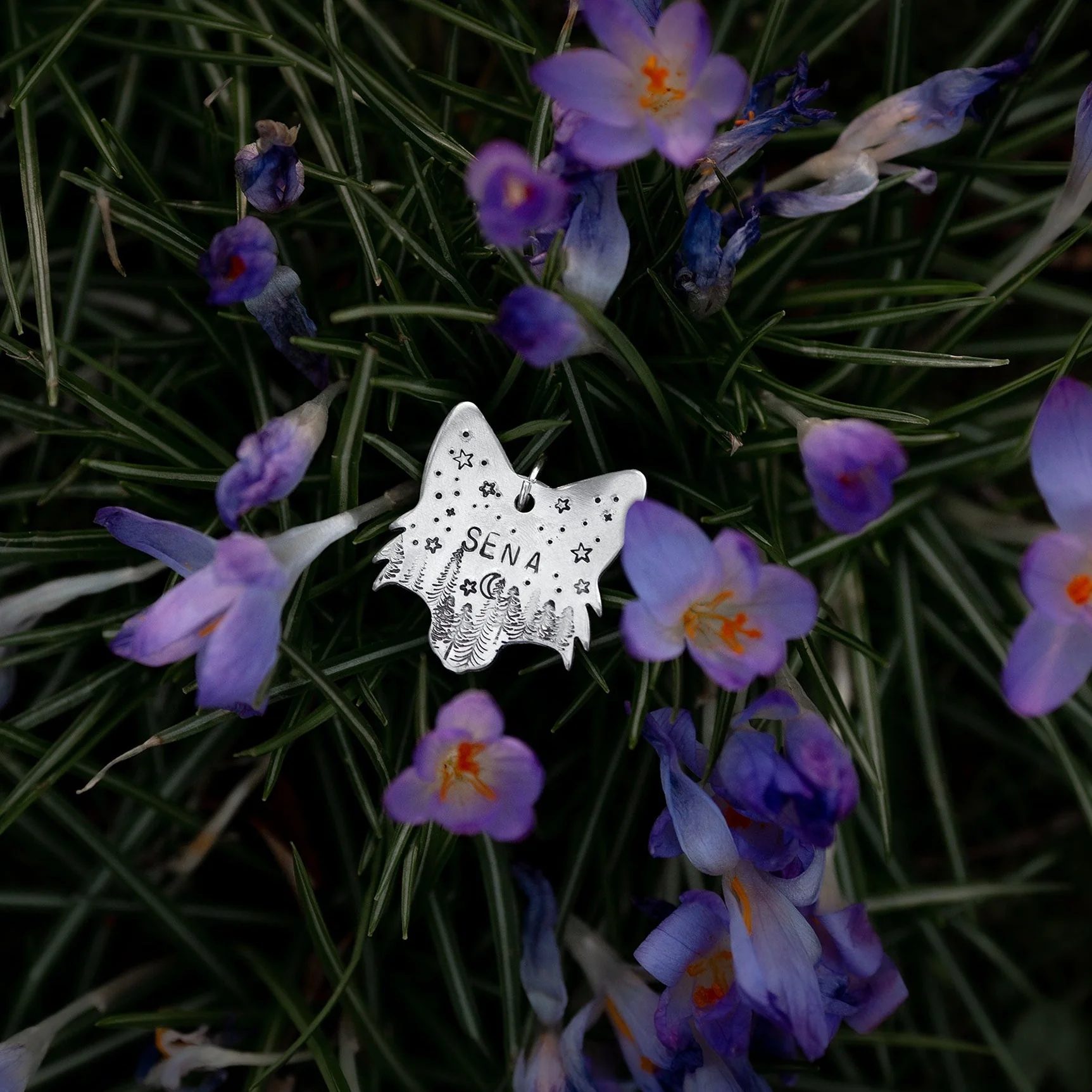 Adresówka dla psa FOXY CHARM - Image 8