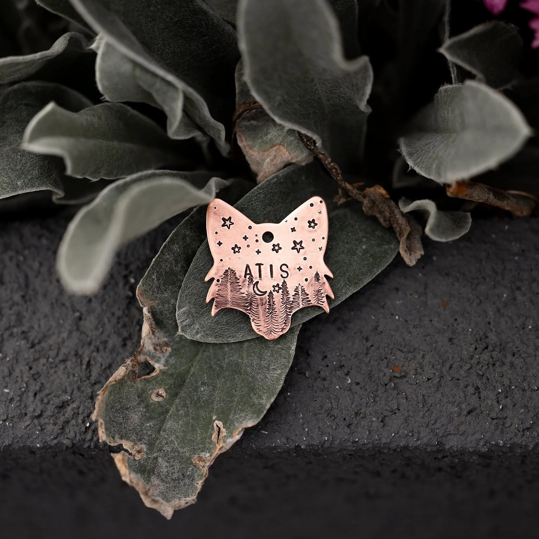 Adresówka dla psa FOXY CHARM - Image 9