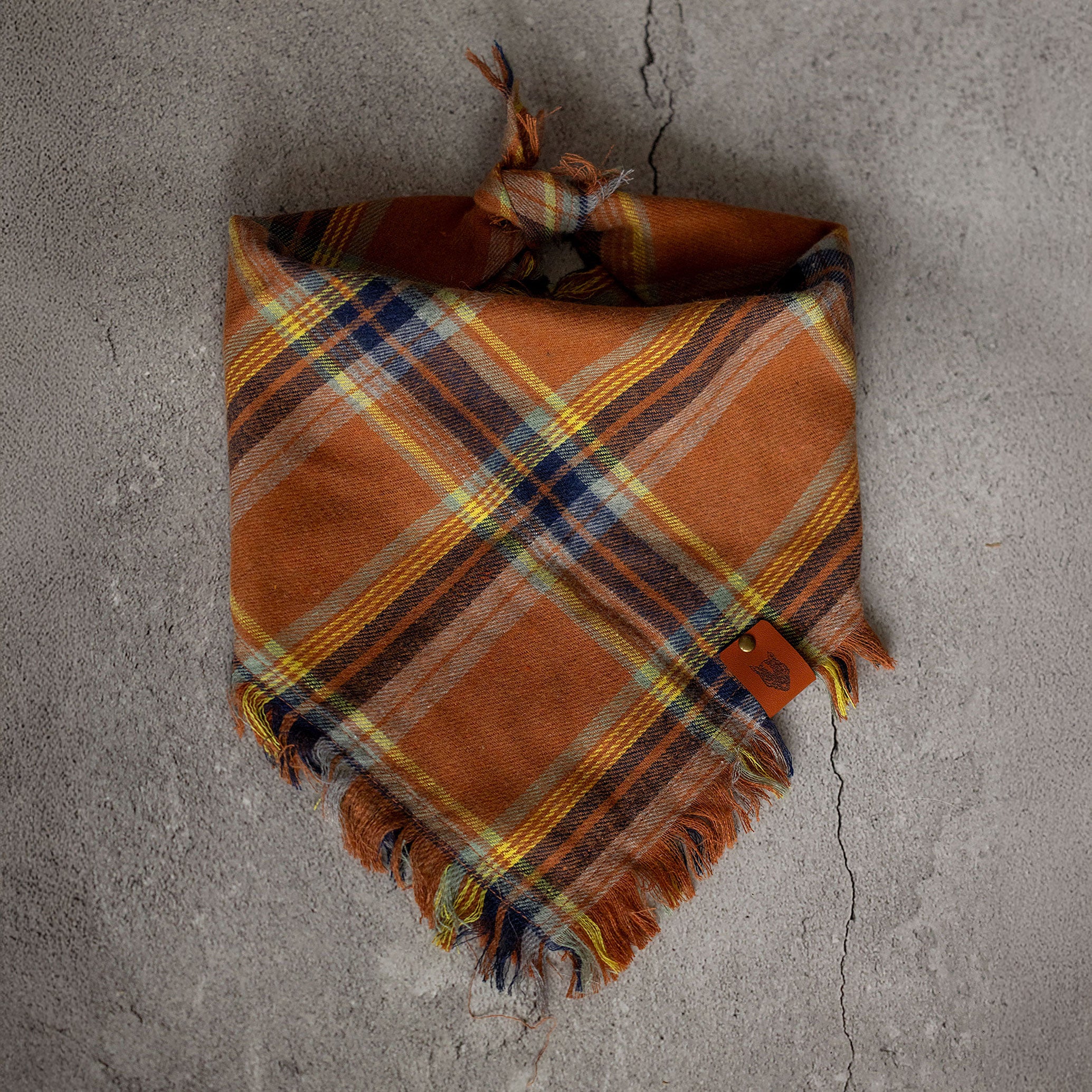 Bandana dla psa HUDSON - Image 11