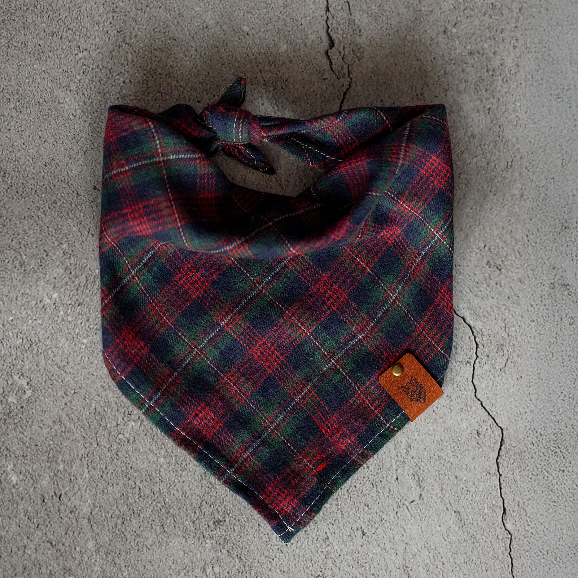 Bandana dla psa TIMBER - Image 9